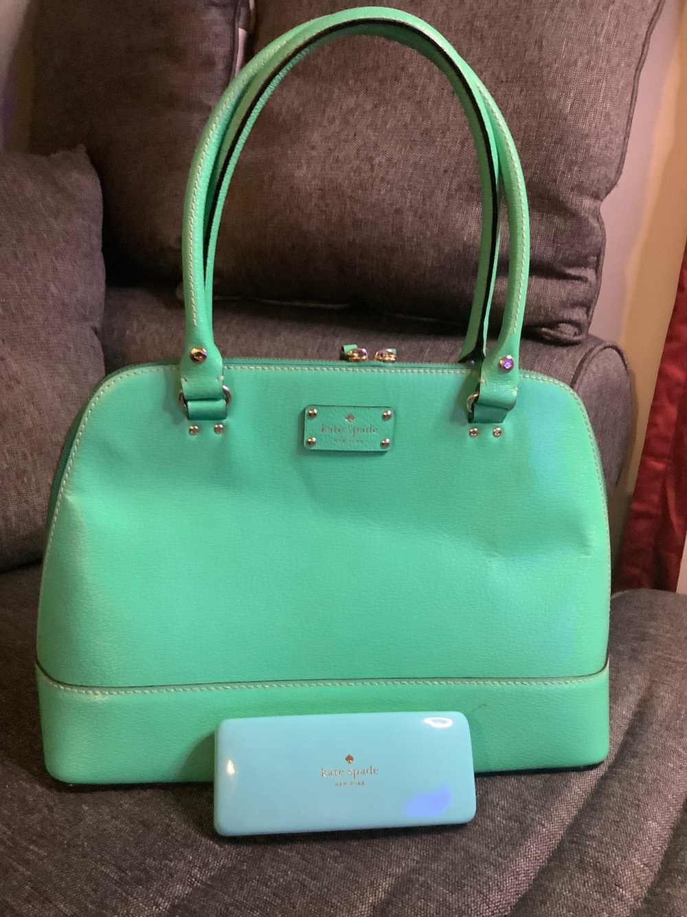 Kate Spade Tote Handbag with Hard Cover Eyeglass Case Preowned
